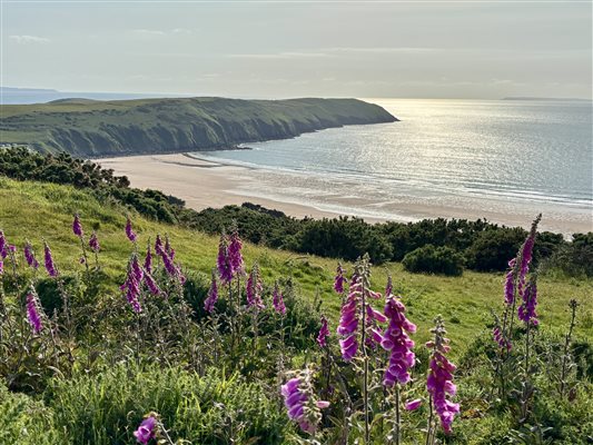 Putsborough Sands North Devon 
