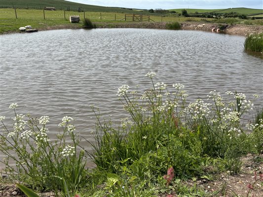 Ponds at Pickwell Barton farm Holidays