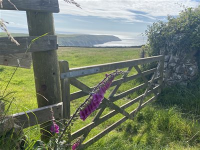 Pickwell Barton, Farm Holiday Cottage