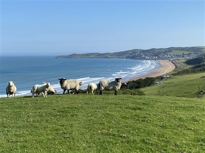 Pickwell Barton, Farm Holiday Cottage