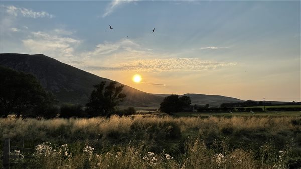 Mosedale End Farm