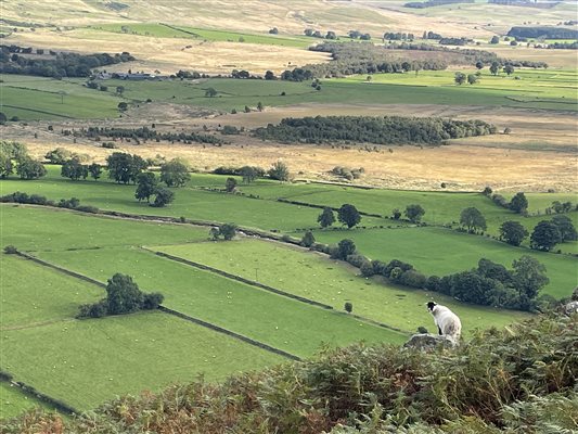 Mosedale End Farm