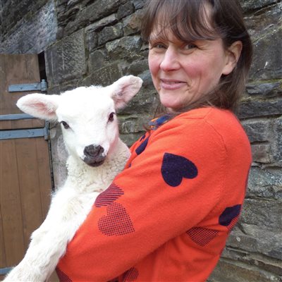 Lambing time in April