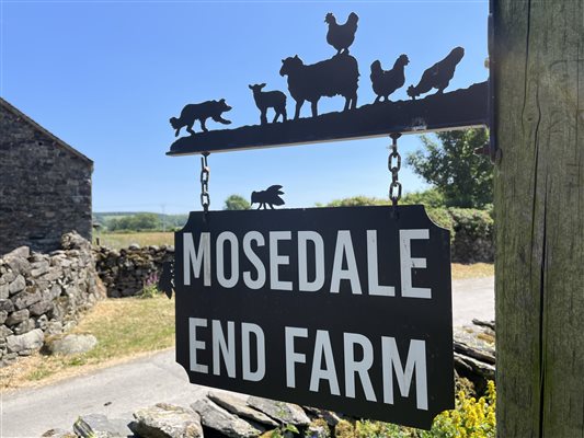 Mosedale End Farm