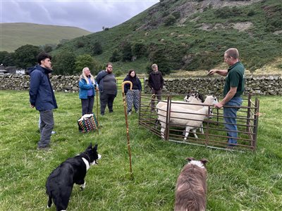 Mosedale End Farm B&B