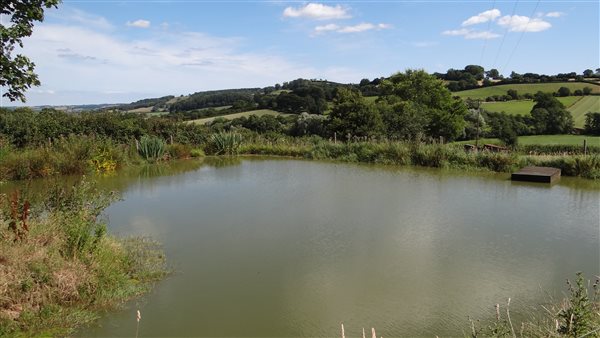 Small fishing lake