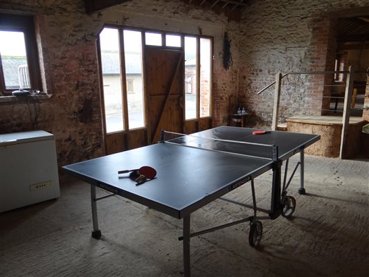 Table tennis