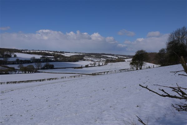 Winter View Yockletts Farm