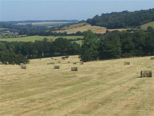 View Yockletts Farm