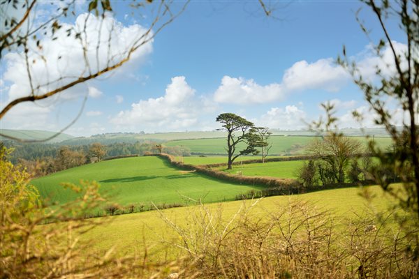 Linhay view