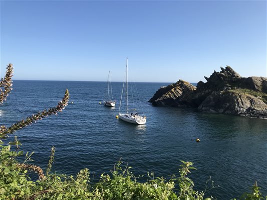 Polperro 