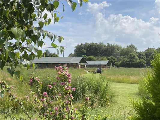 two safari tents in a meadow field on a summers day