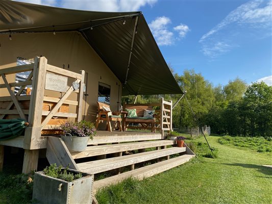 Safari tent in field