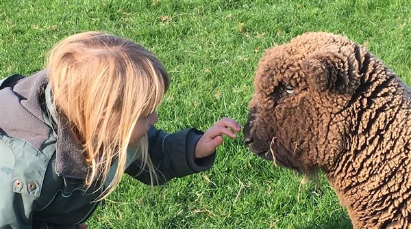 Nettlecombe Farm, Feeding time 