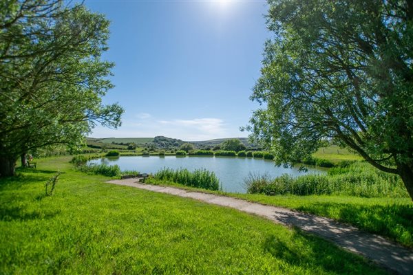 Nettlecombe Farm, Lakes