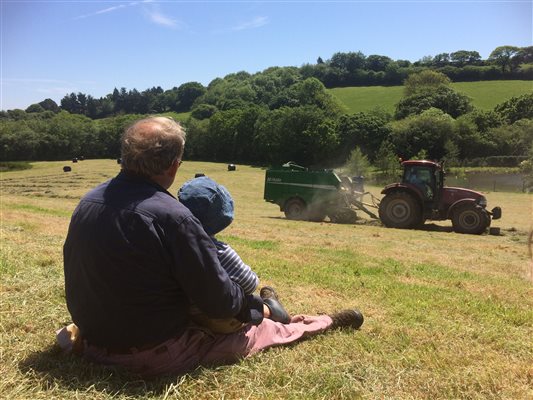 hay tractor farm