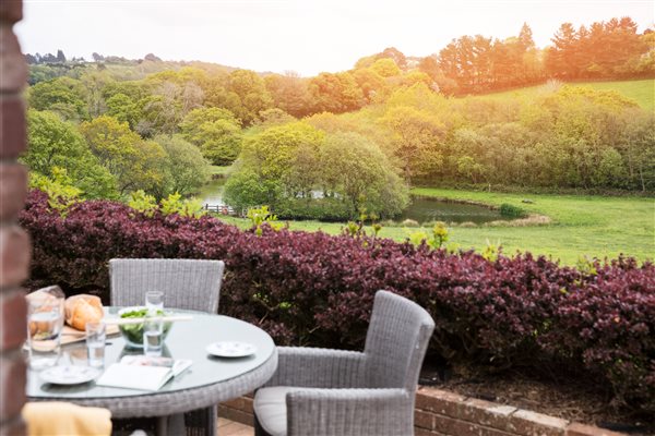 verdant, green Cornish countryside