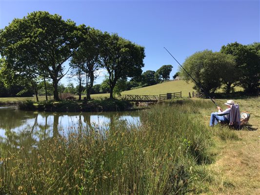 fishing lake countryside pond fish