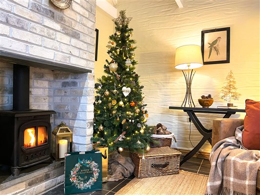christmas tree, woodburner