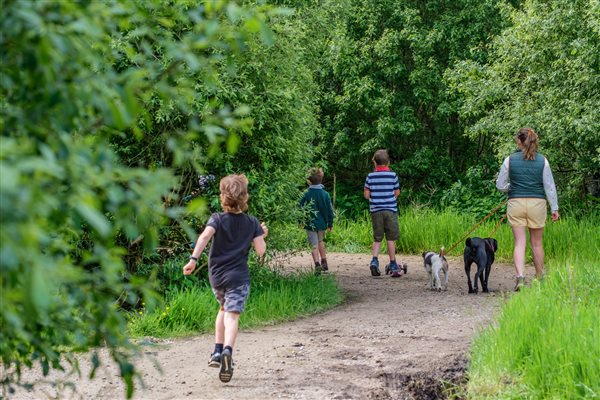 Family glamping woodland cabin Yorkshire