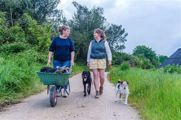 Unique glamping cabin working farm accommodation
