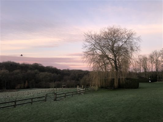 Sunset Babington House