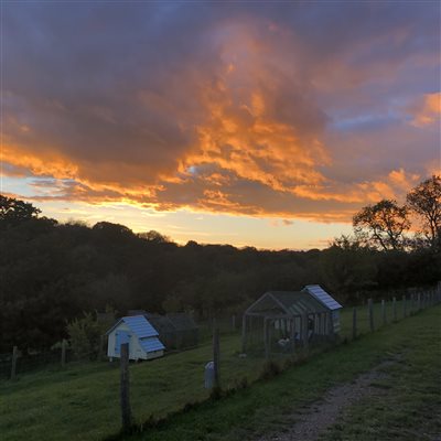 Sunset Babington House Somerset