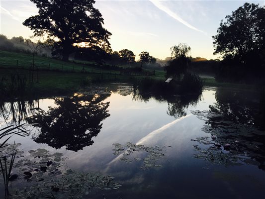 Lake Babington House Somerset