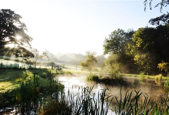 Lake Somerset Babington House Accomodation