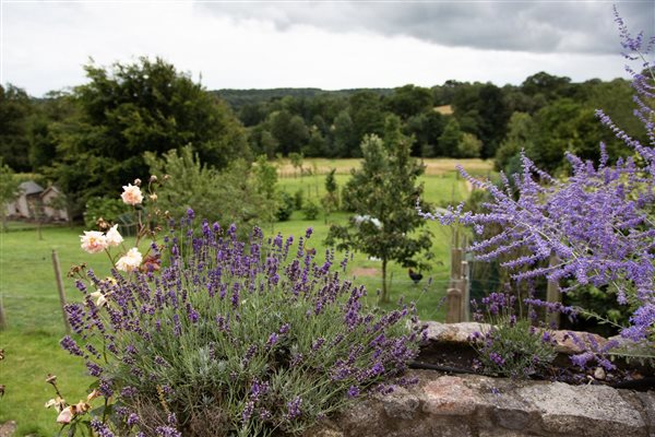 Upper Vobster Farm Near Babington House