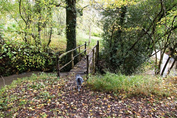 Upper Vobster Farm Near Babington House