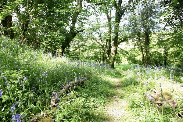 Upper Vobster Farm  Accomodation Near Babington House