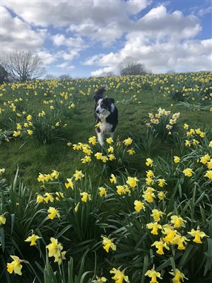 One of our fields