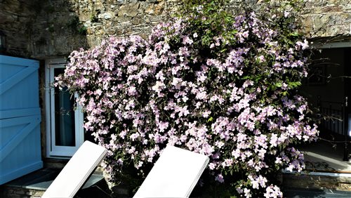 Nutcombe Holiday Cottages