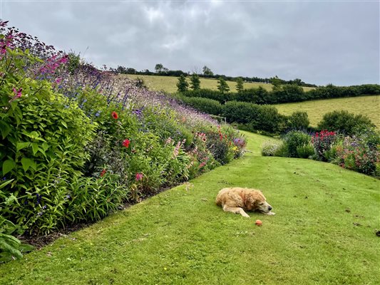Dog Friendly | Nutcombe Barn | Nutcombe Holiday Cottages