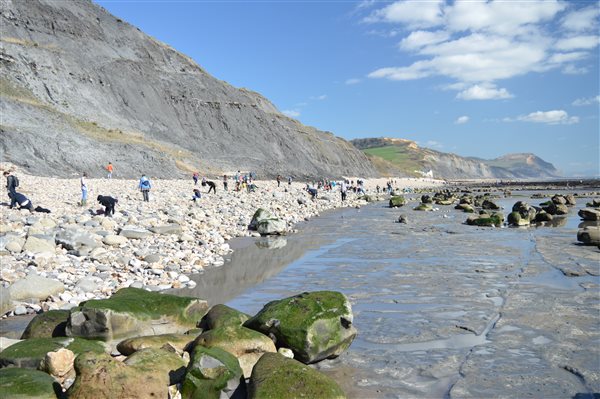 Collecting_fossils