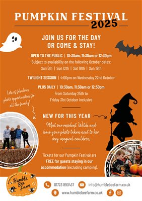 Pumpkin Festival 2025