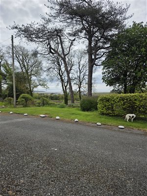 View from front door
