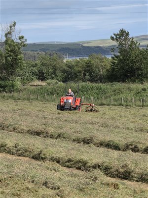 Hay making
