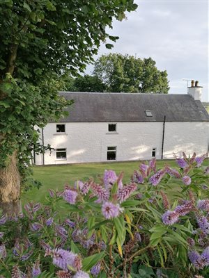 back of cottage