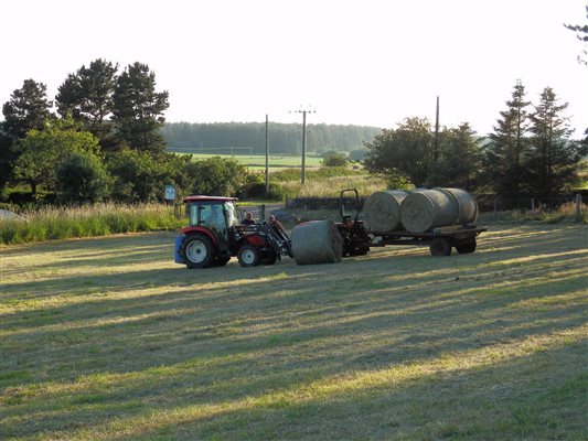 hay time