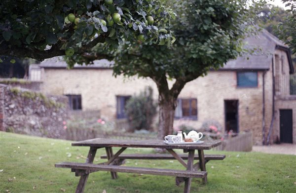 Beesknees and Honeycott cottages