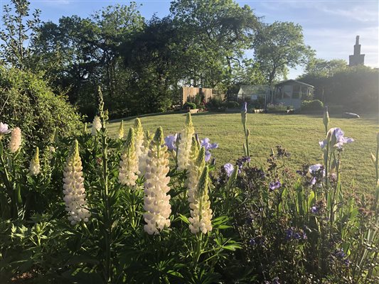 West Barmoffity Garden