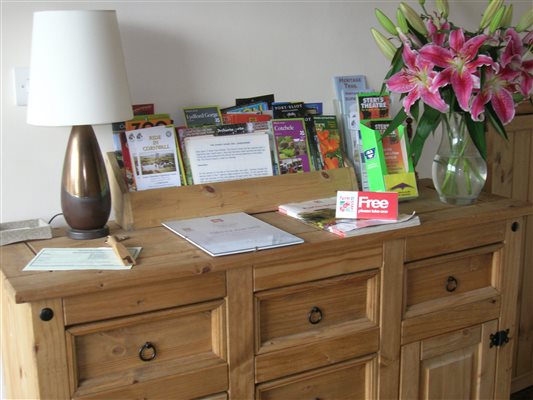 Reception Desk