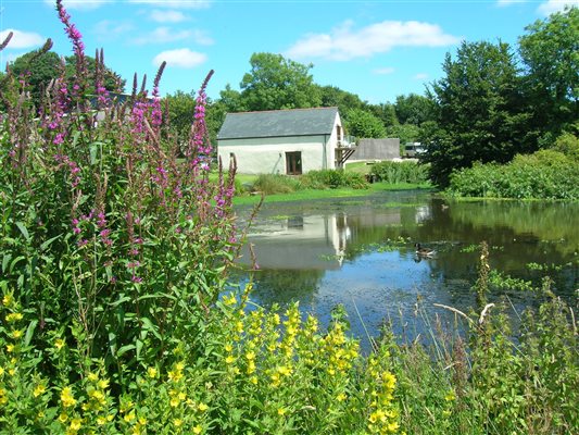 The Boathouse from across the fishing lake