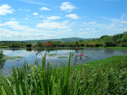 View from the Lounge across the Fishing Lake to Bodmin Moor