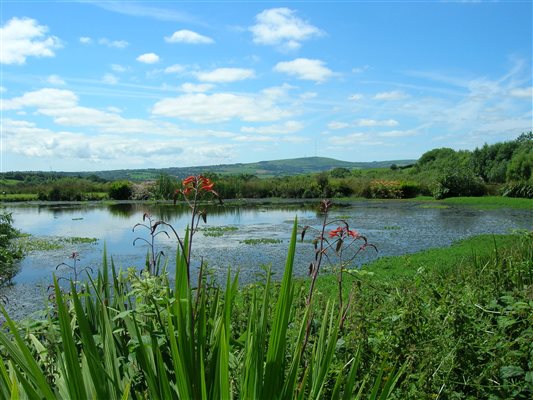 Lakeside View