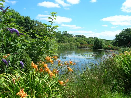 Fishing Lake