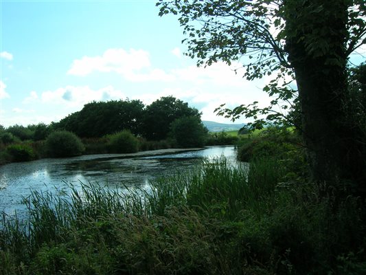 Countryside Views