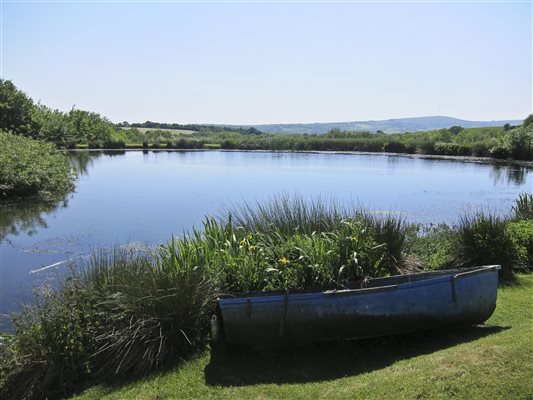 Boating on the Lake